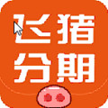 飛豬分期