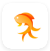 小金魚